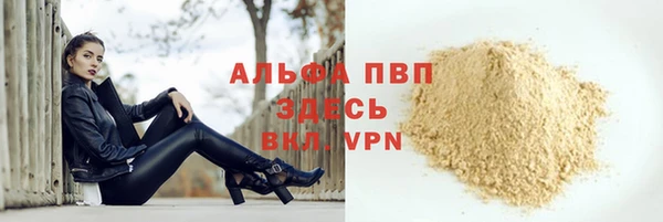 стаф Нефтекумск