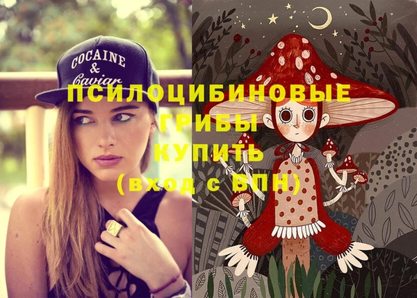 молекула духа Нея