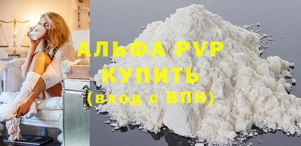 гашик Новозыбков