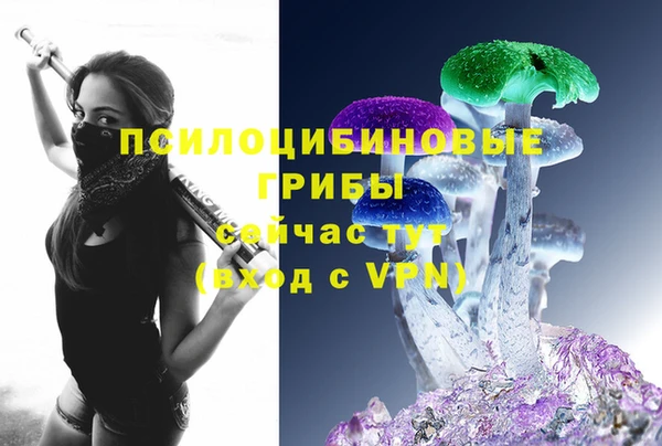 молекула духа Нея