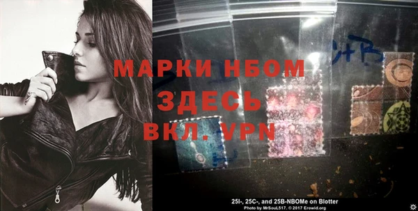 стаф Нефтекумск
