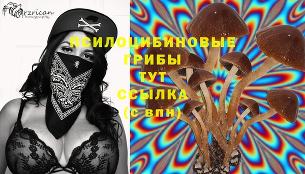 стаф Нефтекумск