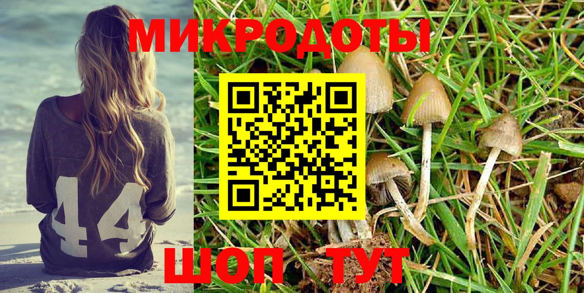 Севастополь  Галлюциногенные грибы Psilocybine cubensis  Псилоцибиновые грибы прущие грибы  Вход с VPN 
